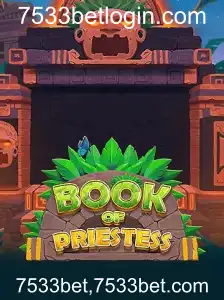 Descubra o Universo de BookOfPriestess: Regras e Estratégias para Vencer